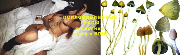 МДПВ Абдулино