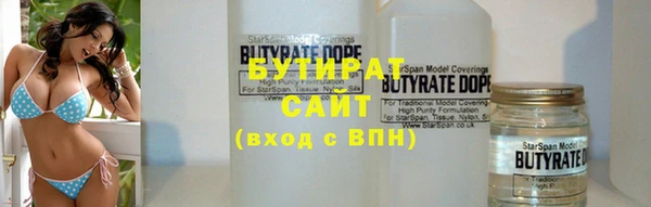 индика Алзамай