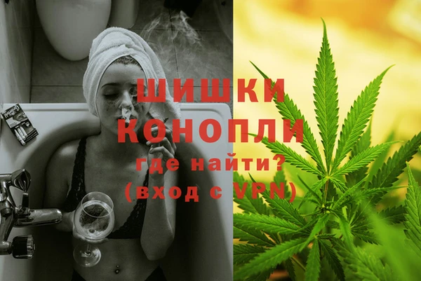 индика Алзамай